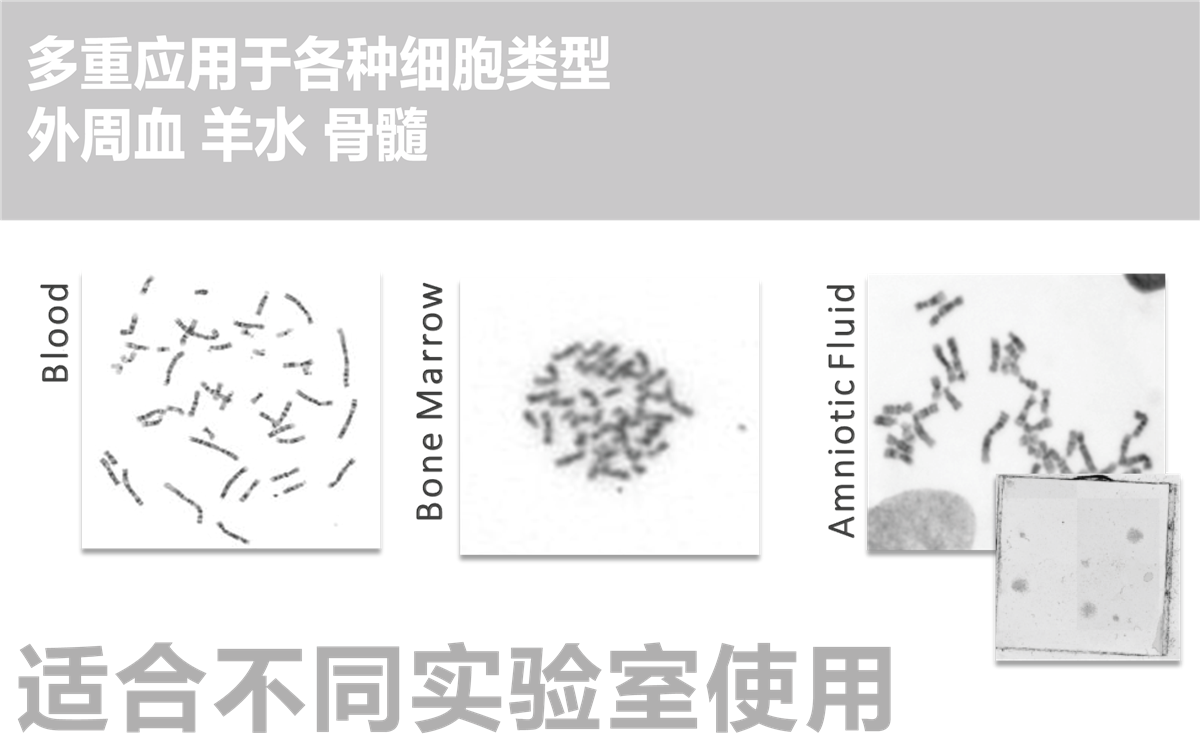 手动染色体分析系统