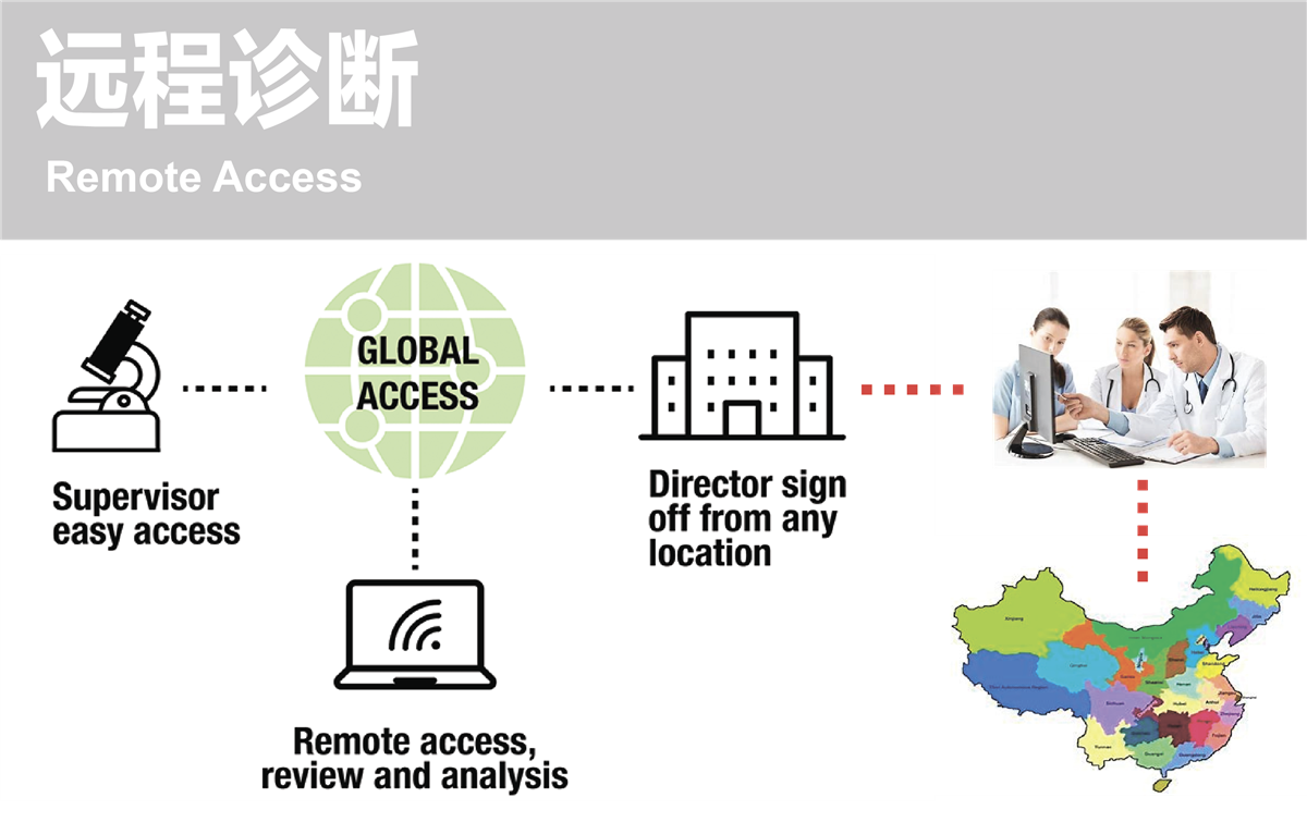 手动染色体分析系统