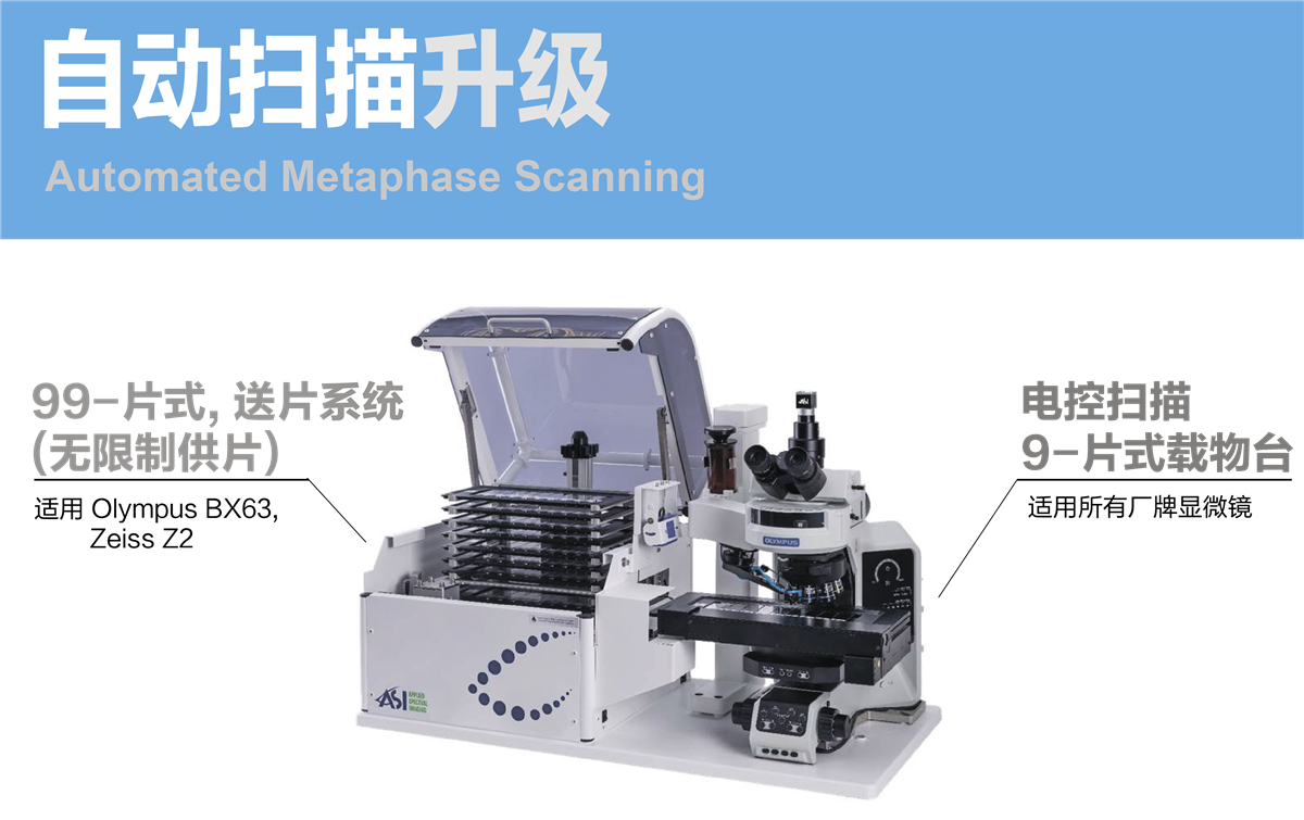 手动染色体分析系统