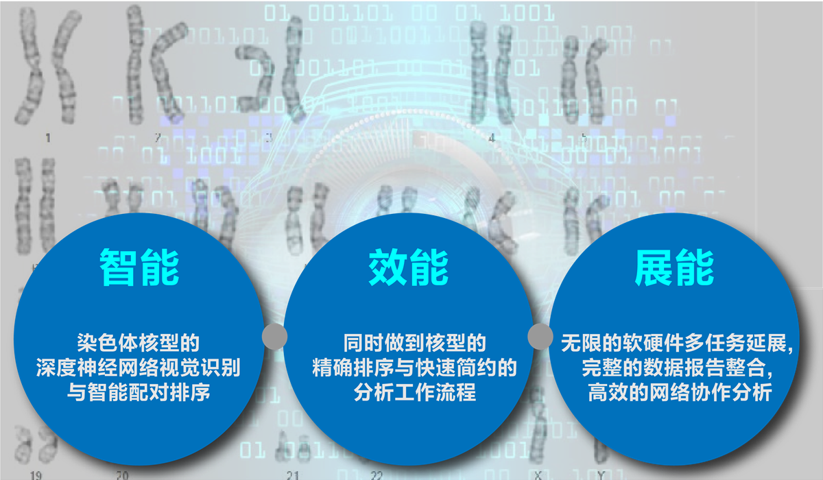 手动染色体分析系统
