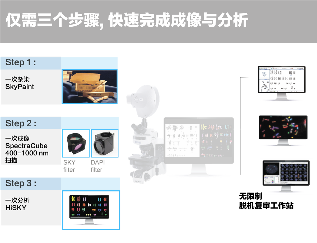 HiSKY光谱核型比对分析系统