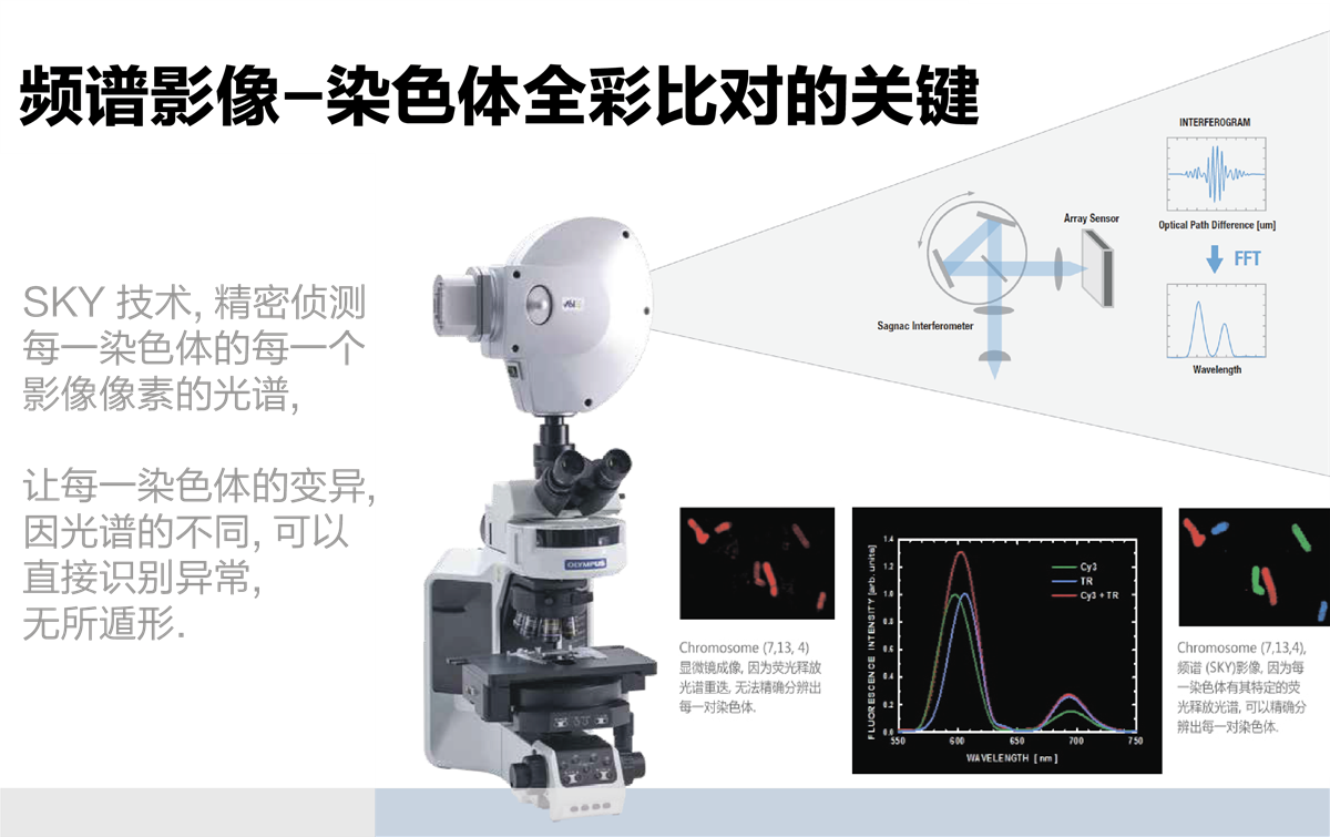 HiSKY光谱核型比对分析系统