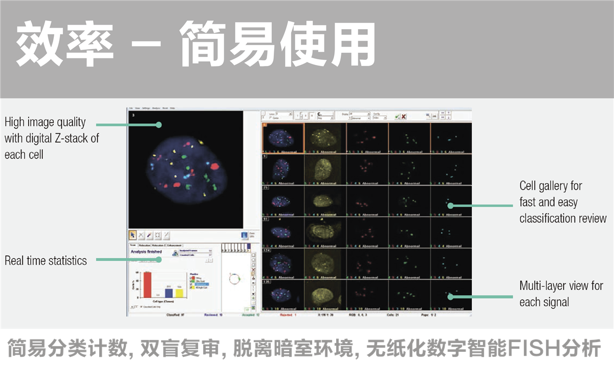 FISH图文报告系统