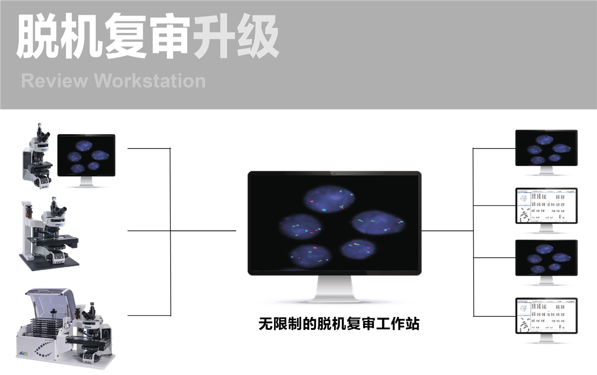 FISH图文报告系统