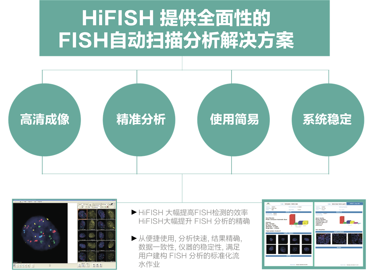 FISH图文报告系统