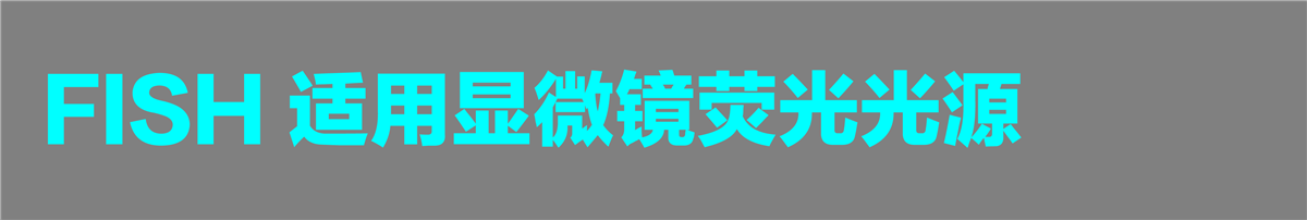 FISH配件