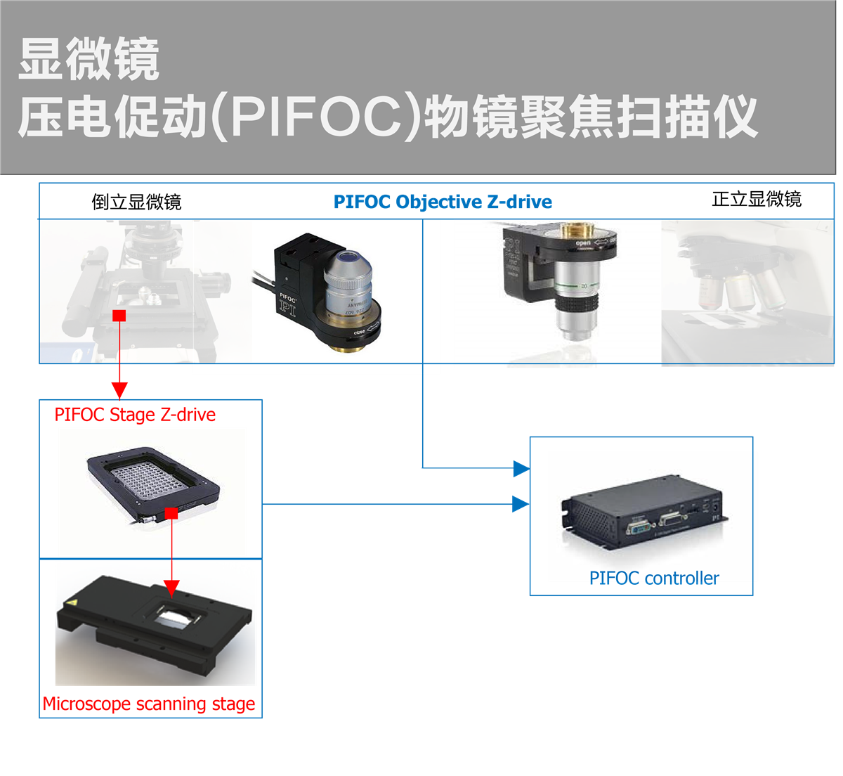 正立显微镜-电控载物台