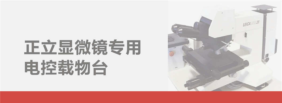 正立显微镜-电控载物台